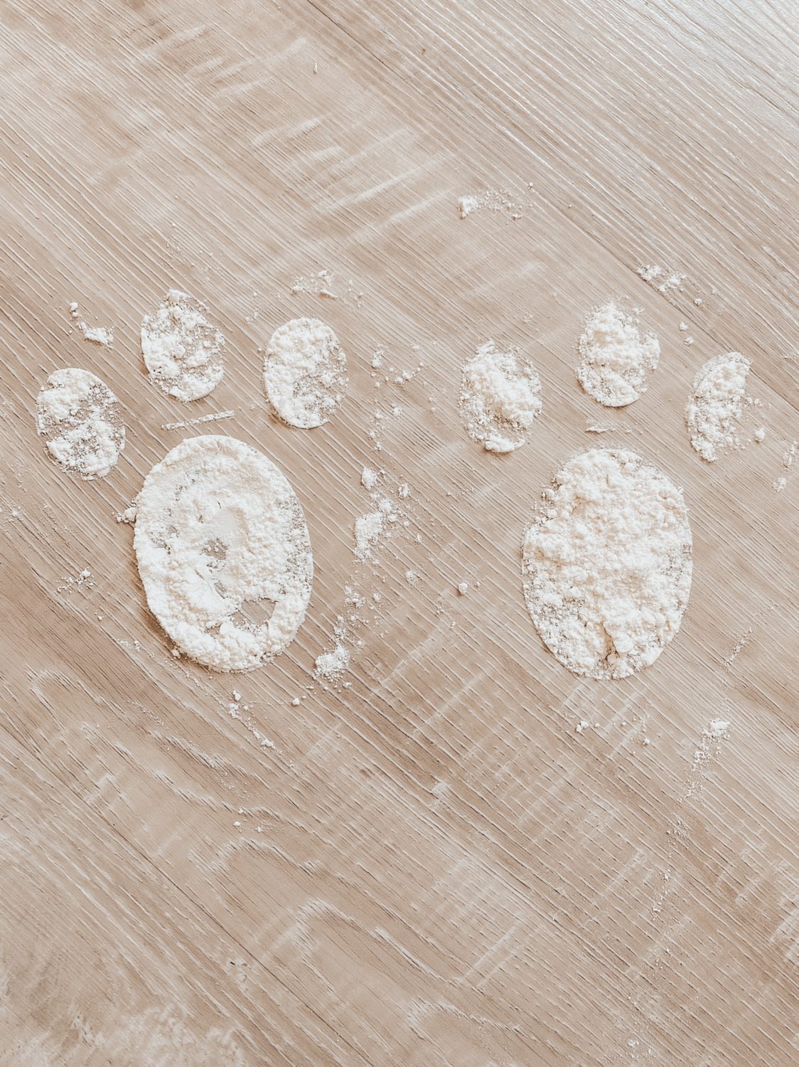 Easter Bunny Foot Print